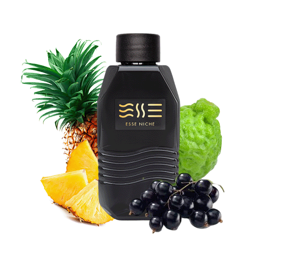 209 man "ESSE fragrance" Niche | Інтернет-магазин Perfumer.ua
