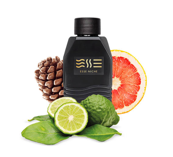 243 unisex "ESSE fragrance" Niche | Інтернет-магазин Perfumer.ua