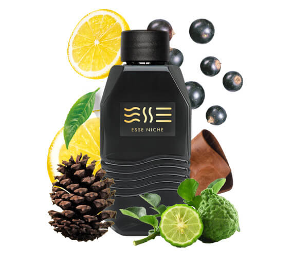 276 unisex "ESSE fragrance" Niche | Інтернет-магазин Perfumer.ua