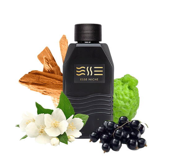 264 unisex "ESSE fragrance" Niche | Интернет-магазин Perfumer.ua