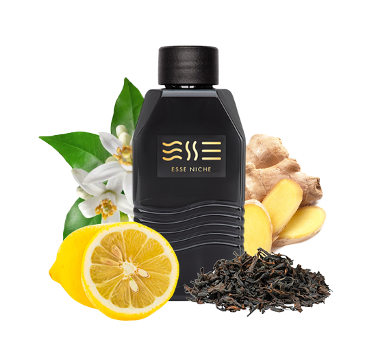 256 man "ESSE fragrance" Niche | Інтернет-магазин Perfumer.ua